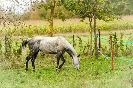 Azienda Agrituristica La Giarda Тальякоццо